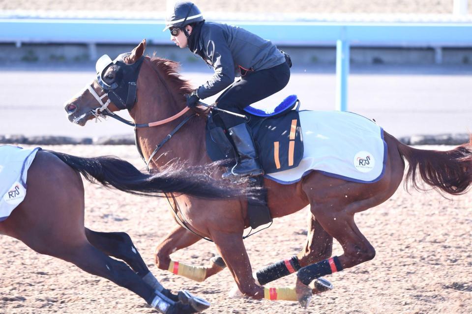 　余裕十分に駆けたアーバンシック