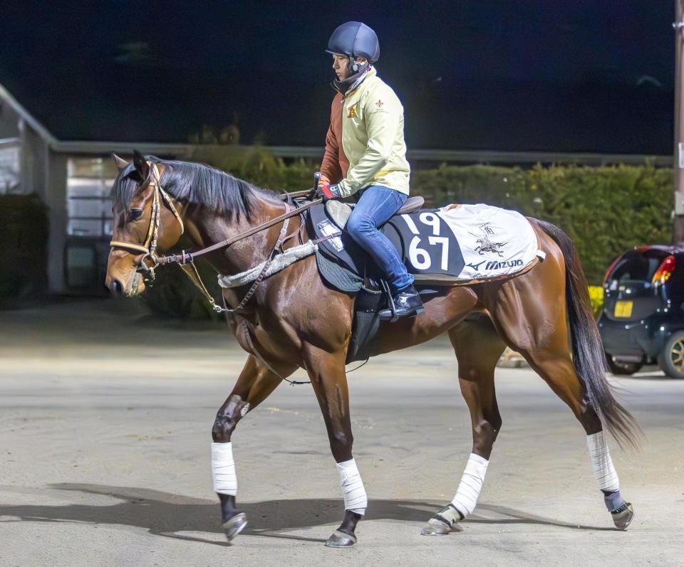 　運動するディスタントスカイ（撮影・石湯恒介）