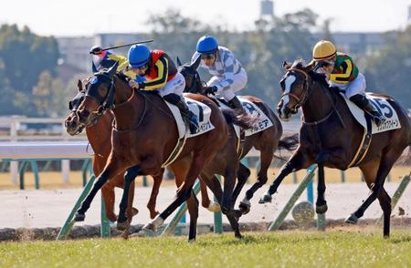 　新馬戦を快勝したミエスペランサ（左）＝撮影・石湯恒介