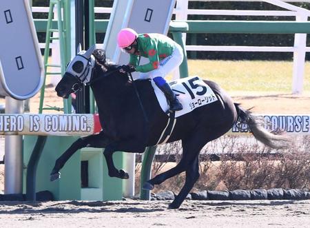 【新馬戦】ジョーローリット　ハナ奪って快走　岩田康「力通りの競馬」