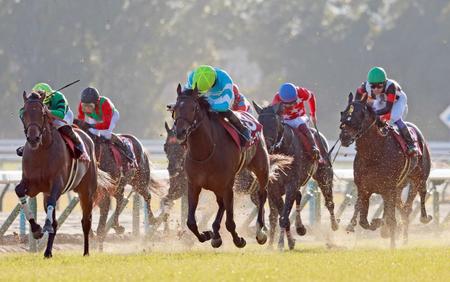 【日経新春杯】ブローザホーン歓喜の重賞初制覇　今春定年の中野師「勝つべき馬が勝ってうれしい」