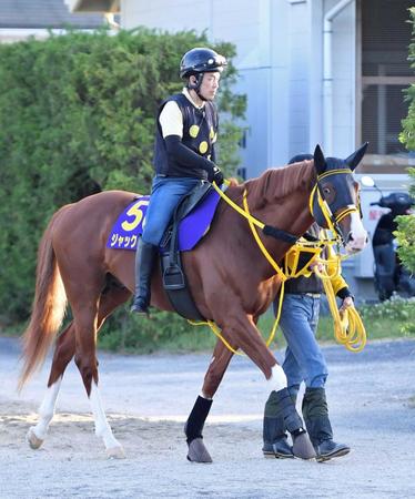 　右前浅屈腱炎を発症したジャックドール