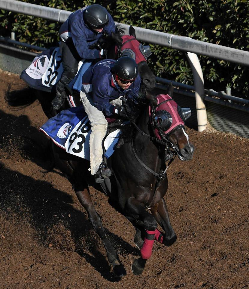 　栗東坂路でテイエムタツマキ（奥）と追い切るペプチドナイル＝栗東トレセン（撮影・北村雅宏）