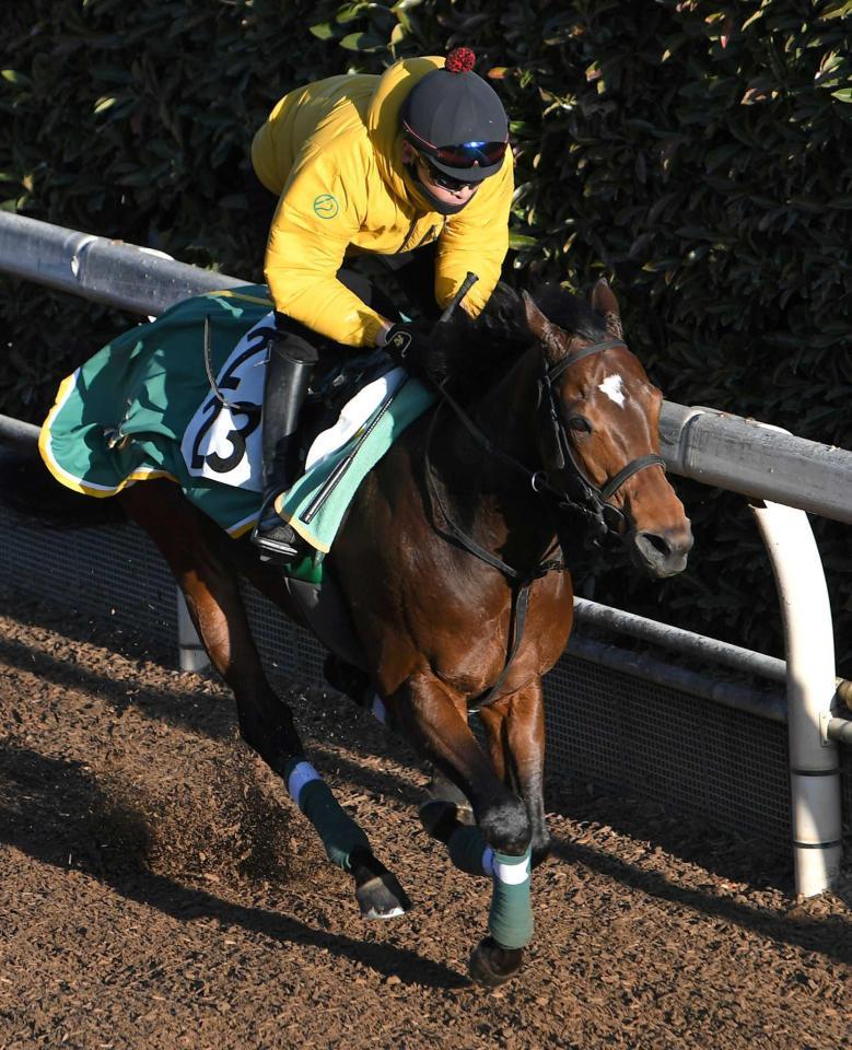 　栗東坂路で軽快に伸びたウィリアムバローズ（撮影・北村雅宏）