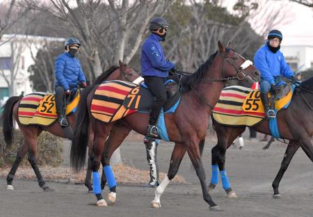 　中山の新馬戦でデビューするスピノザ＝美浦