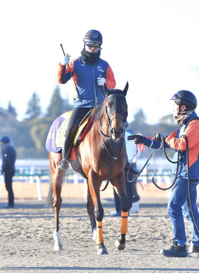 　３３年ぶりとなる牝馬によるＡＪＣＣ勝利を狙うモリアーナ（撮影・西岡正）