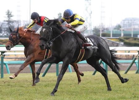 　外からアレグロブリランテを交わすルカランフィースト（手前）