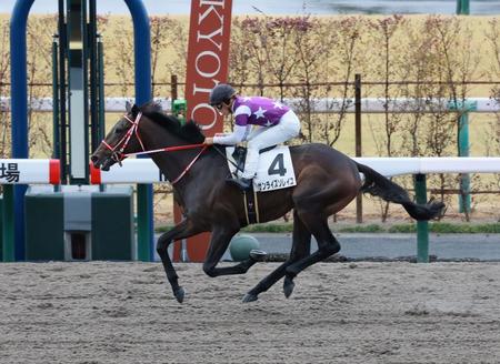 　新馬戦を快勝したサンライズソレイユ（撮影・石湯恒介）