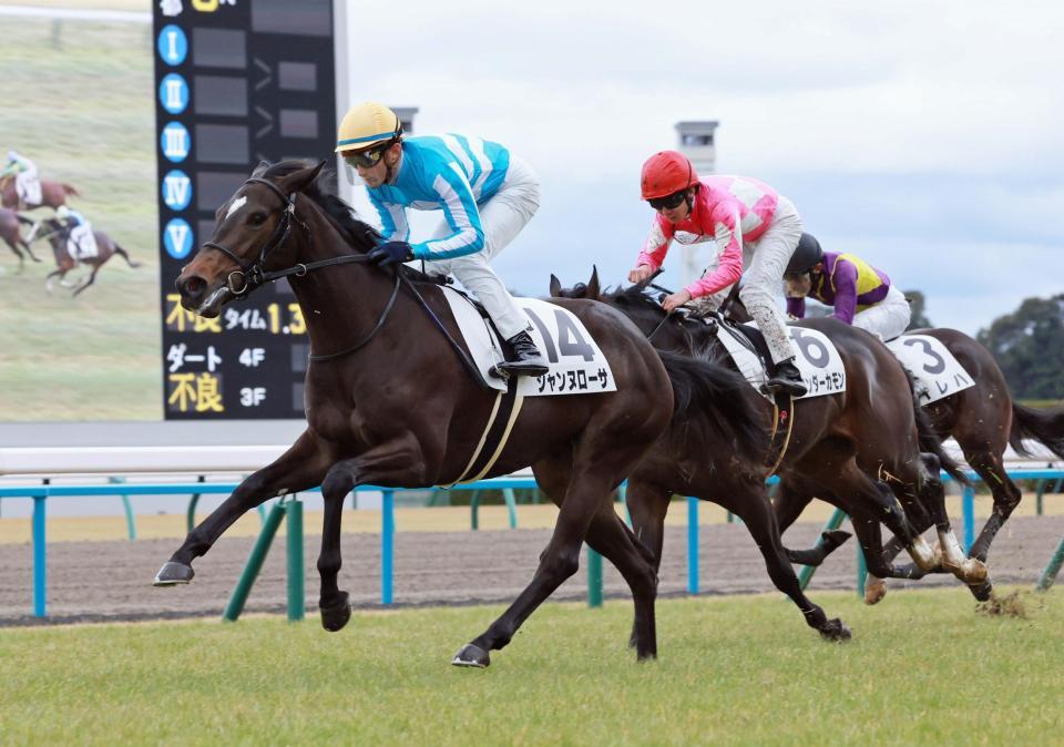 　新馬戦を快勝したジャンヌローサ（撮影・石湯恒介）