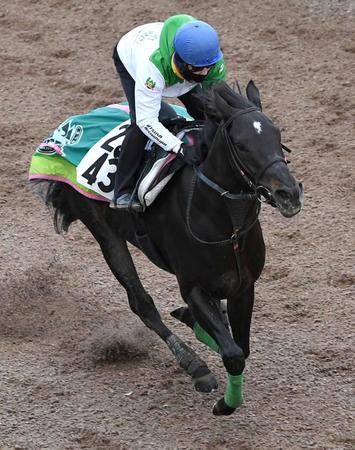 　栗東坂路で極上の切れ味を披露したルガル