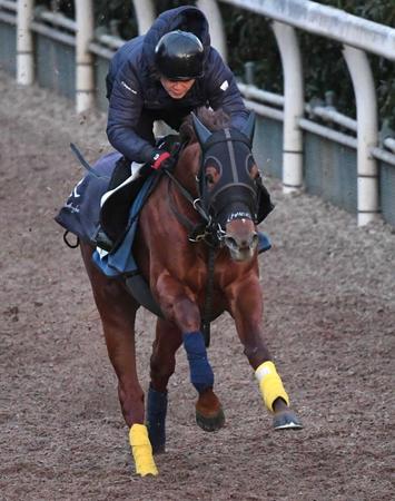 　活気十分に登坂したサンライズフレイム（撮影・北村雅宏）