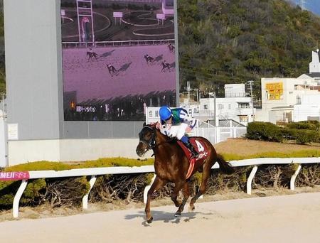 　重賞初制覇を果たしたニジイロハーピー（撮影・中山伸治）