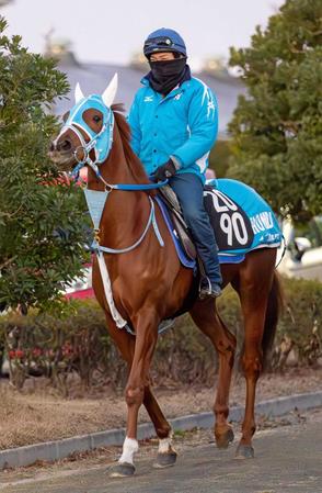 　運動するラブアンドラッキー