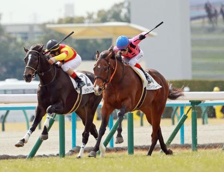 【新馬戦】良血パシフィックルート　長くいい脚初陣Ｖ　池添「息遣いにも余裕が」