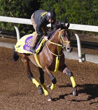 ウシュバテソーロ　年内引退まで全力で　「最後は東京大賞典で」今後の見通し明かす