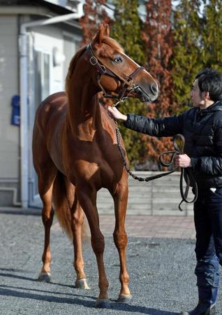 【きさらぎ賞】ビザンチンドリーム　ここから飛躍　唯一の全項目クリア　確かな末脚、１Ｆの距離短縮も不問