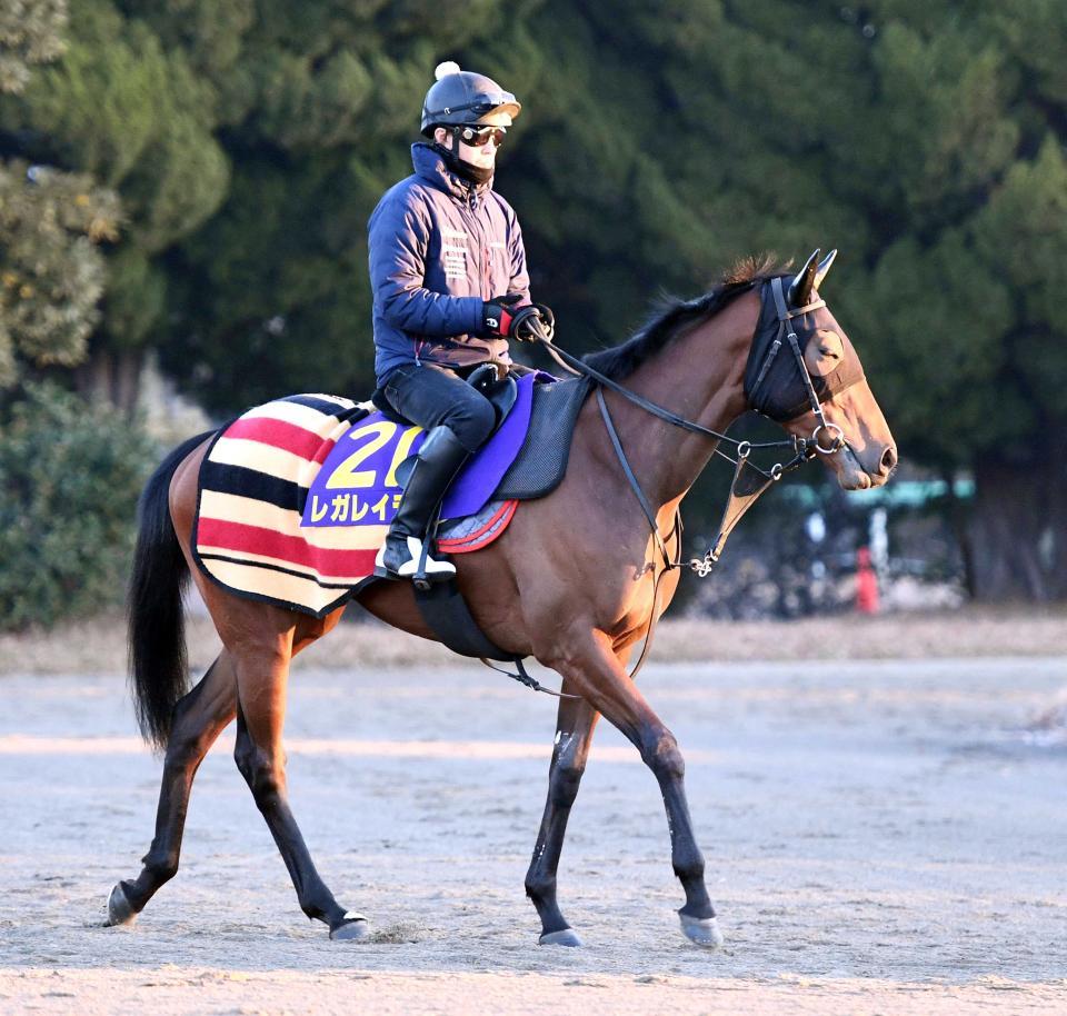 　ダービー参戦の可能性が明かされたレガレイラ