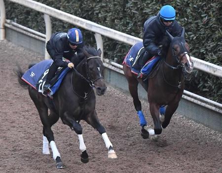 　栗東坂路を軽快に駆け上がったファーヴェント（左）＝撮影・石井剣太郎