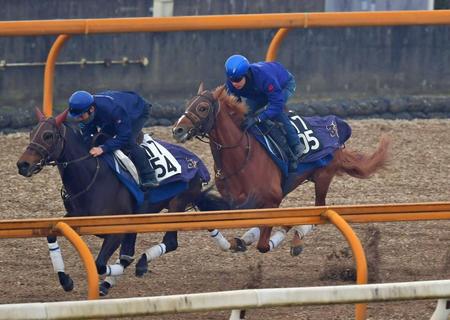 【きさらぎ賞】ビザンチンドリーム　新馬Ｖから一気加速　栗東ＣＷで快ラップ　坂口師「しまいまで集中」