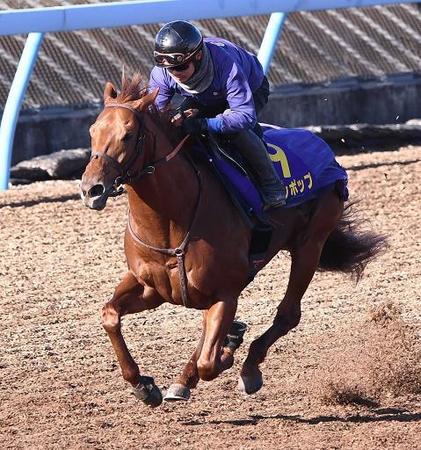 　サウジＣに参戦するレモンポップ