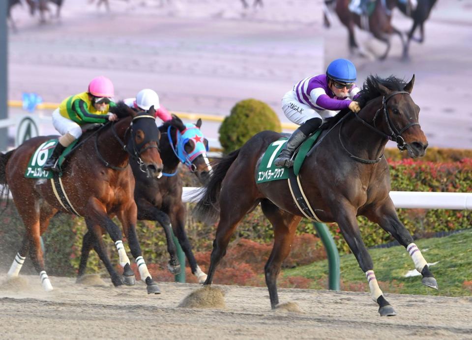 　根岸Ｓを制したエンペラーワケア（右）