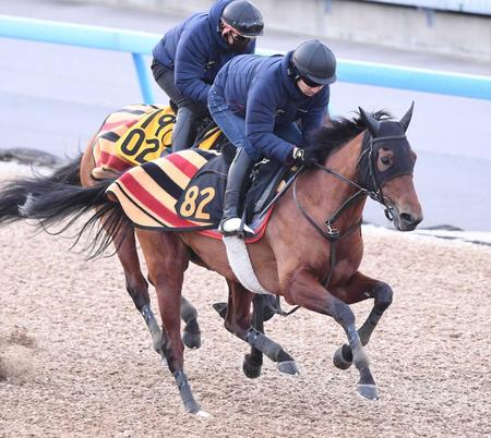 【デイリー杯クイーンＣ】アルセナール　休養効果で重賞獲る　木村師「有利に働く」気性面も問題なし