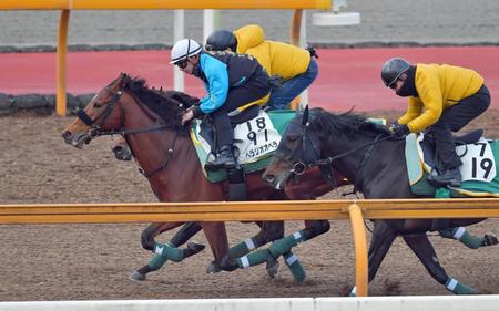 　横山和を背に栗東ＣＷで追い切るベラジオオペラ（左）＝栗東トレセン（撮影・石湯恒介）