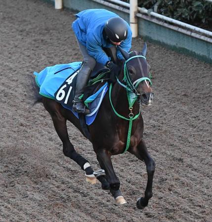 　軽やかに坂路を駆け上がったサフィラ（撮影・石井剣太郎）