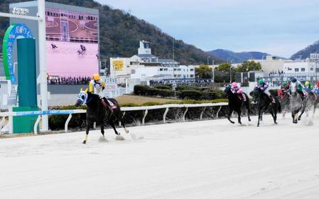 重賞初勝利を挙げたタイガーインディ（左）＝撮影・中山伸治