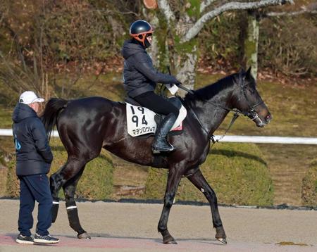 　２年ぶりのタイトル奪取を目指すマテンロウレオ（撮影・石湯恒介）