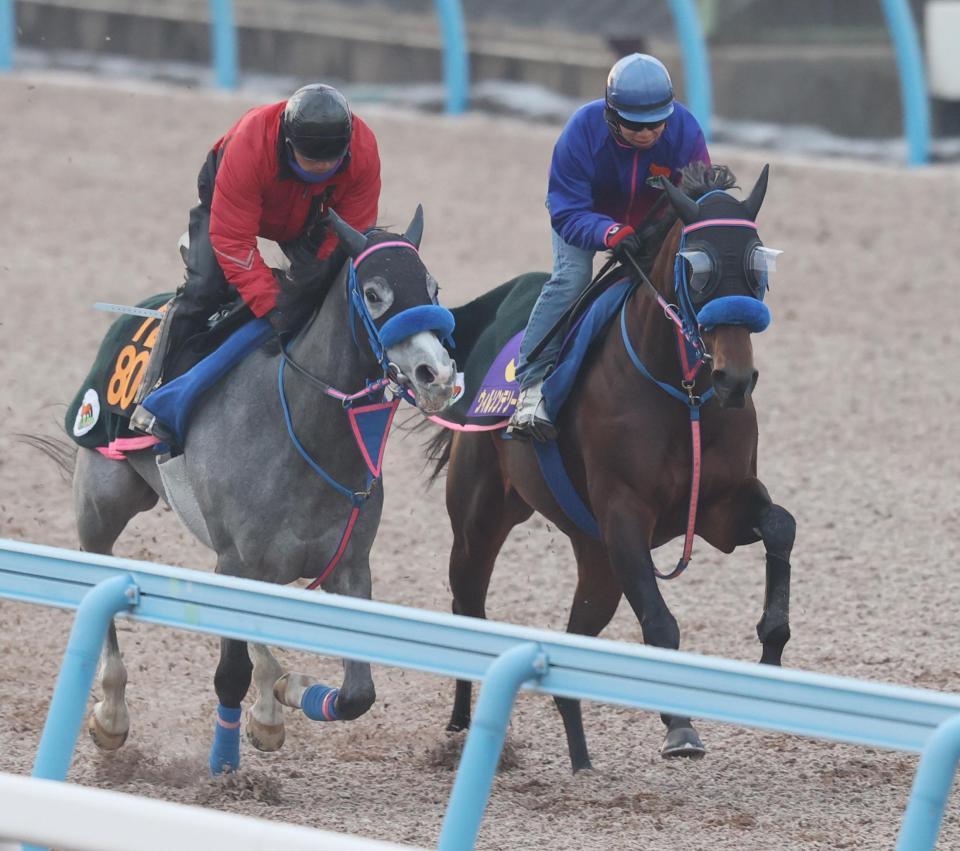 　武士沢を背にウッドチップコースでマニーブルースと併せて追われるウィルソンテソーロ（右）