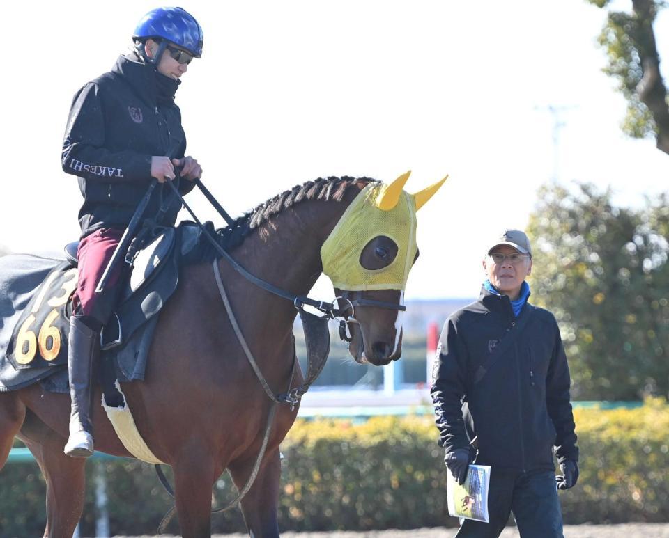 　横山武史騎手を背にするモリノレッドスターをチェックする鈴木伸尋調教師（右）＝撮影・園田高夫