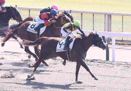 【新馬戦】カフェニクス　びっくり大波乱演出　単勝１０５・６倍の激走に陣営も驚き隠せず