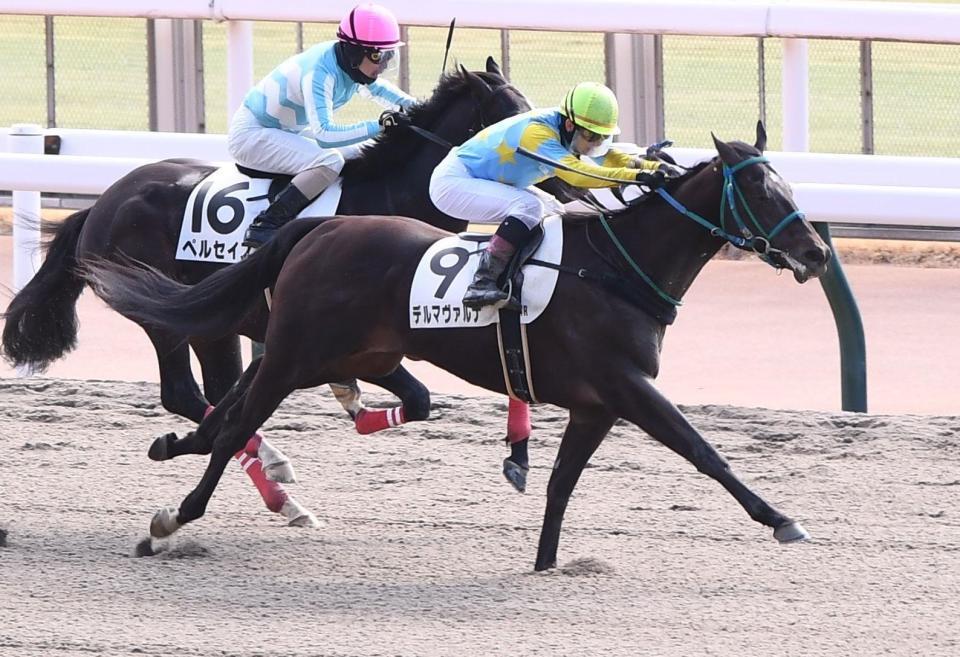 　新馬戦を制したデルマヴァルナ（撮影・園田高夫）