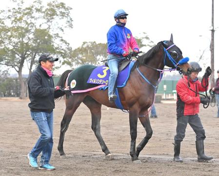 　Ｇ１初Ｖを目指すウィルソンテソーロと小手川師（左）　