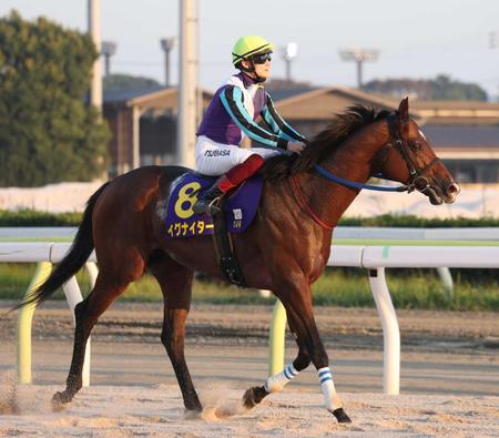 　地方からの夢を乗せて参戦するイグナイター