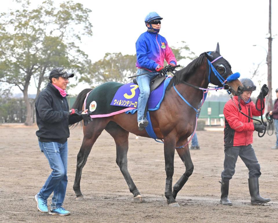 　Ｇ１初Ｖを目指すウィルソンテソーロと小手川師（左）