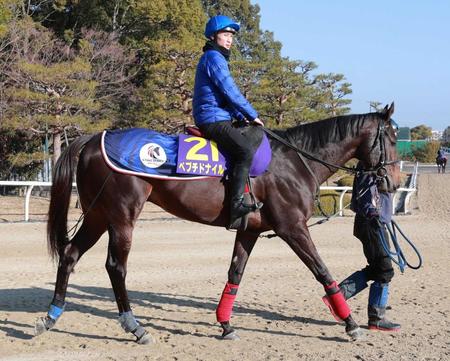 　初挑戦のＧ１で初勝利を狙うペプチドナイル