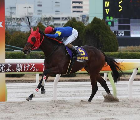 　雲取賞を制したブルーサン