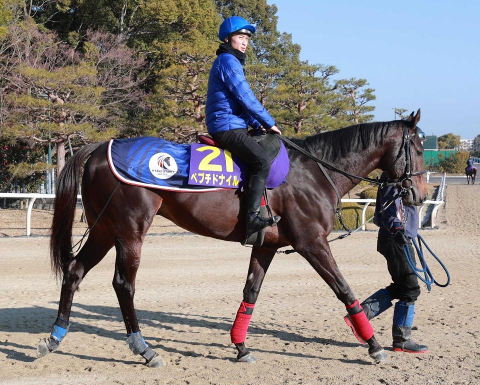 　初挑戦のＧ１で初勝利を狙うペプチドナイル