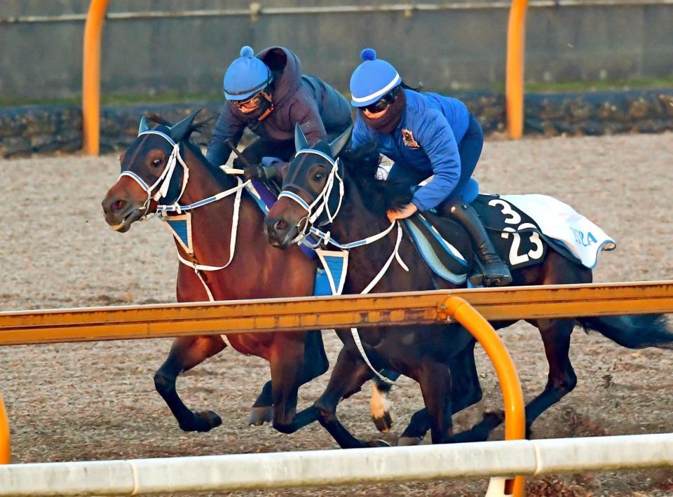 　岩田望を背に鋭い伸びを見せたキングズソード（奥）＝撮影・石湯恒介