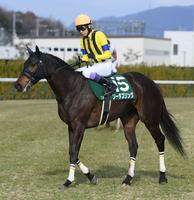 　ガッツポーズを見せる武豊（撮影・石井剣太郎）