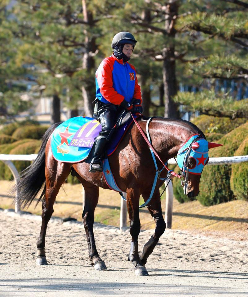 　希望通り５枠１０番をゲットしたタガノビューティー