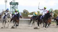 　（左から）ガイアフォース、タガノビューティーの猛追を振り切るペプチドナイル（右手前）の馬上でガッツポーズする藤岡佑