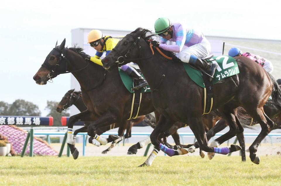 　武豊に導かれ重賞初Ｖを飾ったソーダズリング（左）＝撮影・石井剣太郎