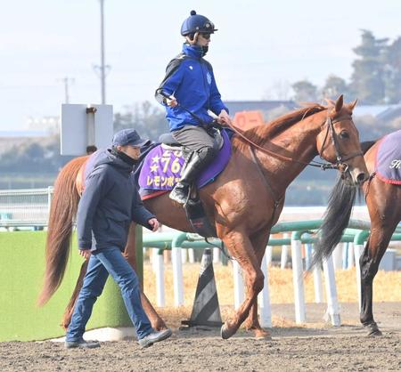 【サウジＣ】レモンポップ世界の頂点へ　ＪＲＡ賞争ったウシュバテソーロと初対決　ドバイで大敗の名誉挽回へ意欲