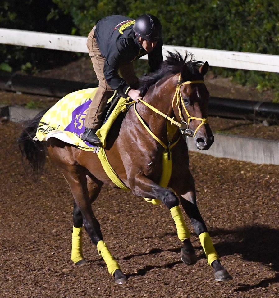 　海外２勝目を目指すウシュバテソーロ