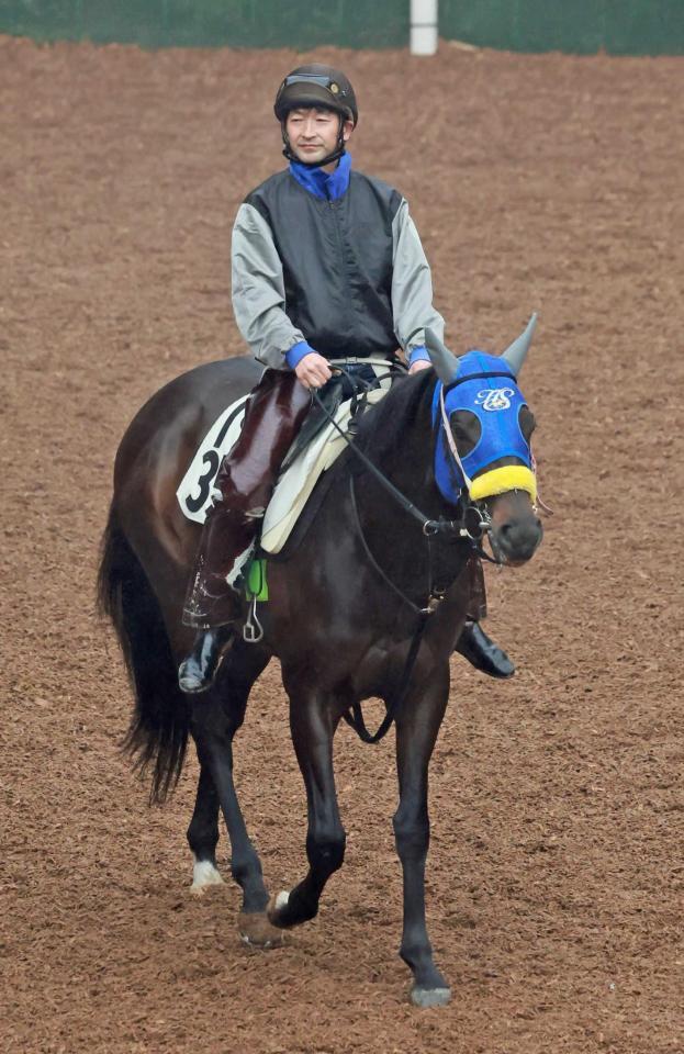 　重賞初挑戦初制覇を狙うボルザコフスキー