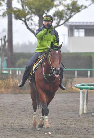 　重賞Ｖ３を狙うソーヴァリアント（撮影・西岡正）