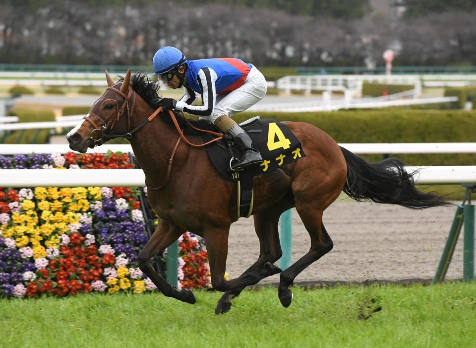 　マーガレットＳを制したナナオ（撮影・石井剣太郎）